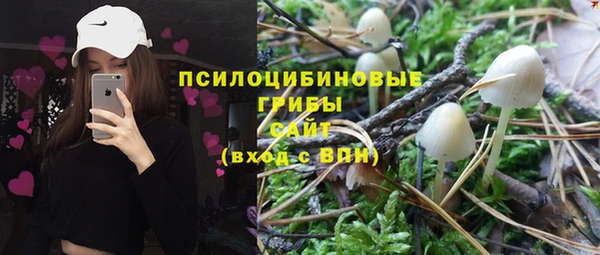 винт Алексин