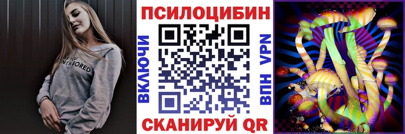 Псилоцибиновые грибы MAGIC MUSHROOMS  где купить наркотик  Катав-Ивановск 