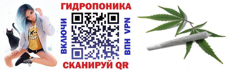 даркнет сайт  Катав-Ивановск  Бошки Шишки марихуана 